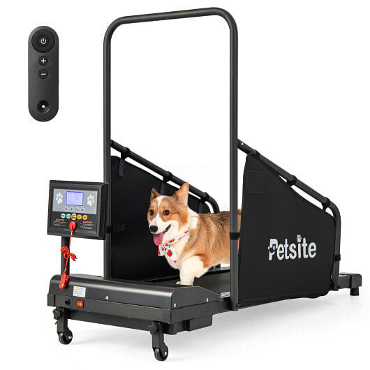 Indoor Pet Exercise Equipment with Remote Control-1